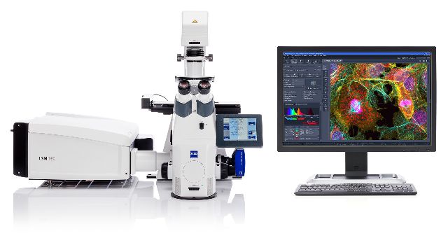 共聚焦显微镜4D成像系统LSM 980 with Airyscan 2